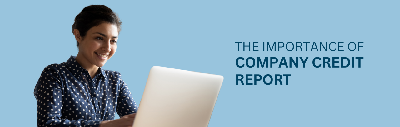 Blog banners - What Is a Company Credit Report & Why Does Every Business Need One?
