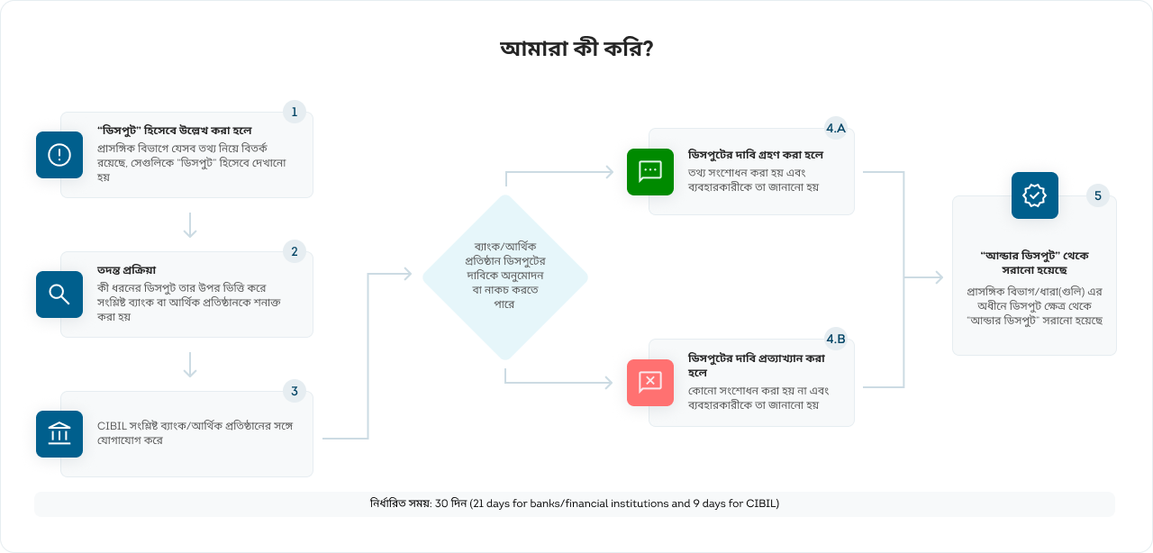 Process to Raise a Dispute