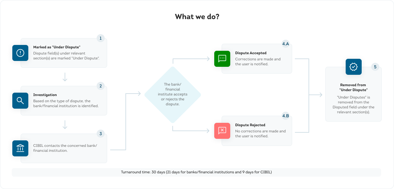 Process to Raise a Dispute
