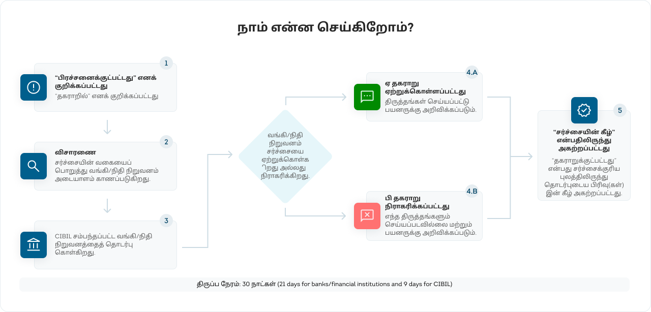 Process to Raise a Dispute