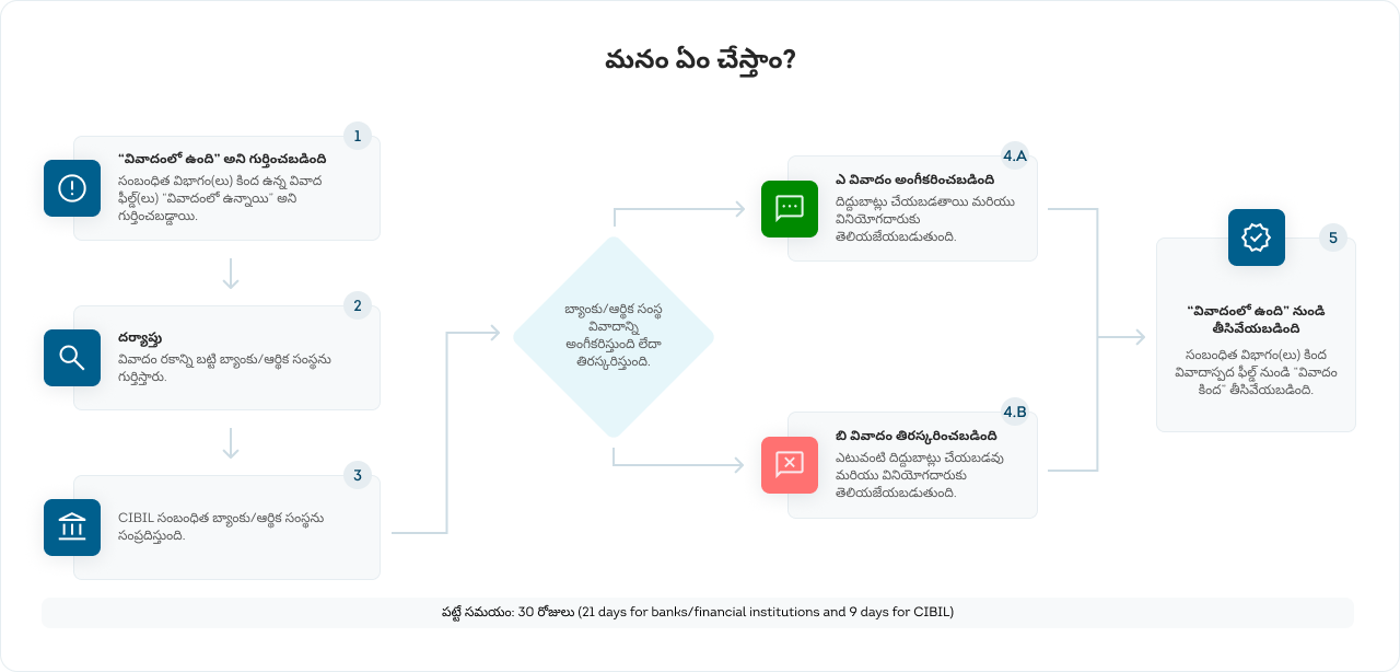 Process to Raise a Dispute